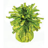 Holographic light green balloon weight F99274L, 5.6 oz, with shimmering foil fringe for securing helium balloon bouquets and party decorations.