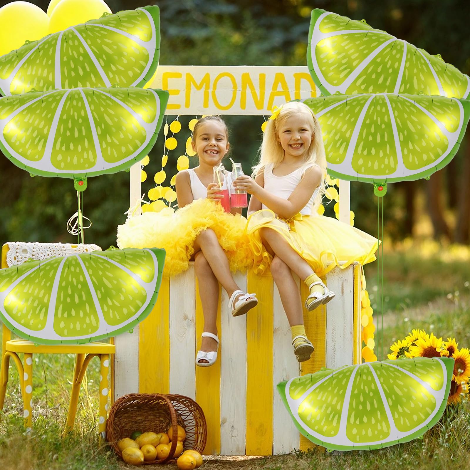 Half Sliced Lime 778852 - 26 in