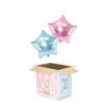 Balloon Box Boy or Girl - KPB2