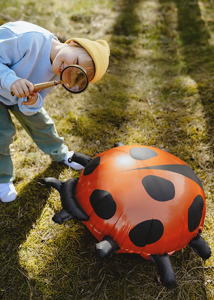 Ladybug foil balloon party decoration