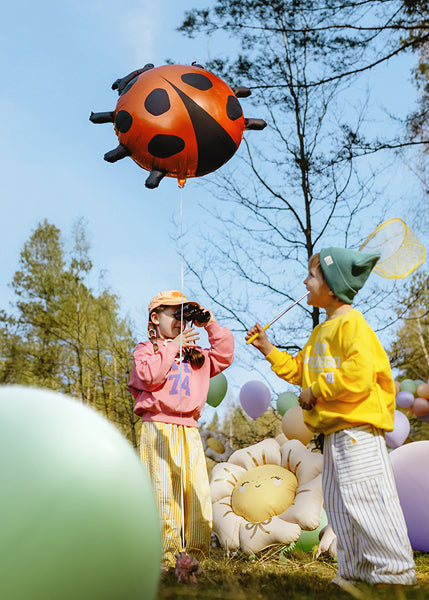 Ladybug foil balloon party decoration
