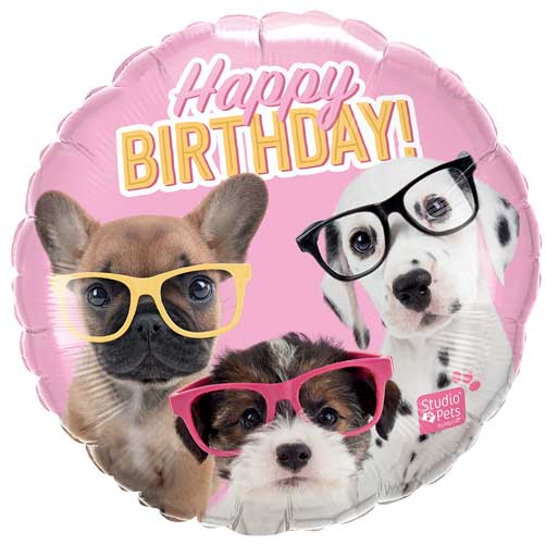 Birthday Puppies in Glasses 19283