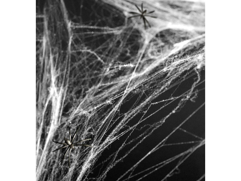 Spiderweb Halloween White - PH60-008