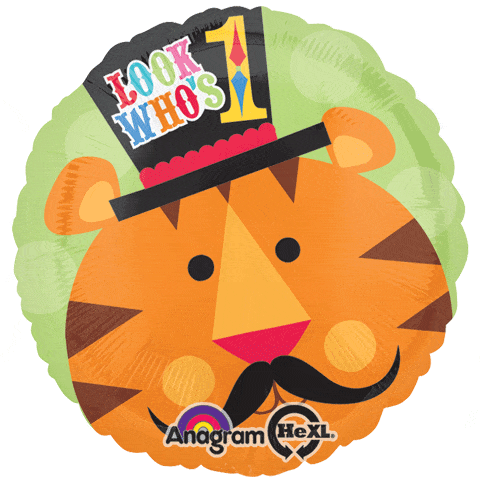 Circus Tiger 1st Birthday 25879 - 18 in