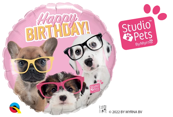 Birthday Puppies in Glasses 19283